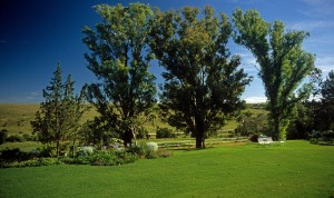 Farm (Bed & Breakfast) Grahamstown