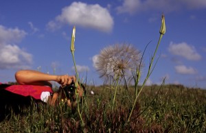 Spaß beim Puschteblumen-Fotografieren