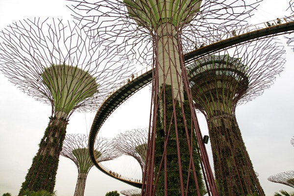 Singapur: Gardens by the Bay