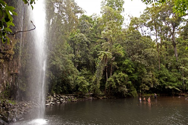 Atherton Tablelands: Millaa Millaa Falls