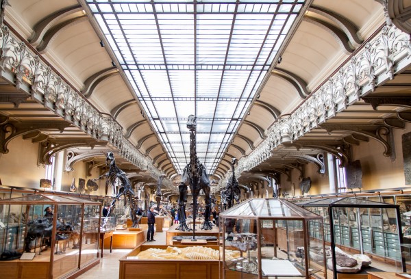 Muséum national d’histoire naturelle Paris