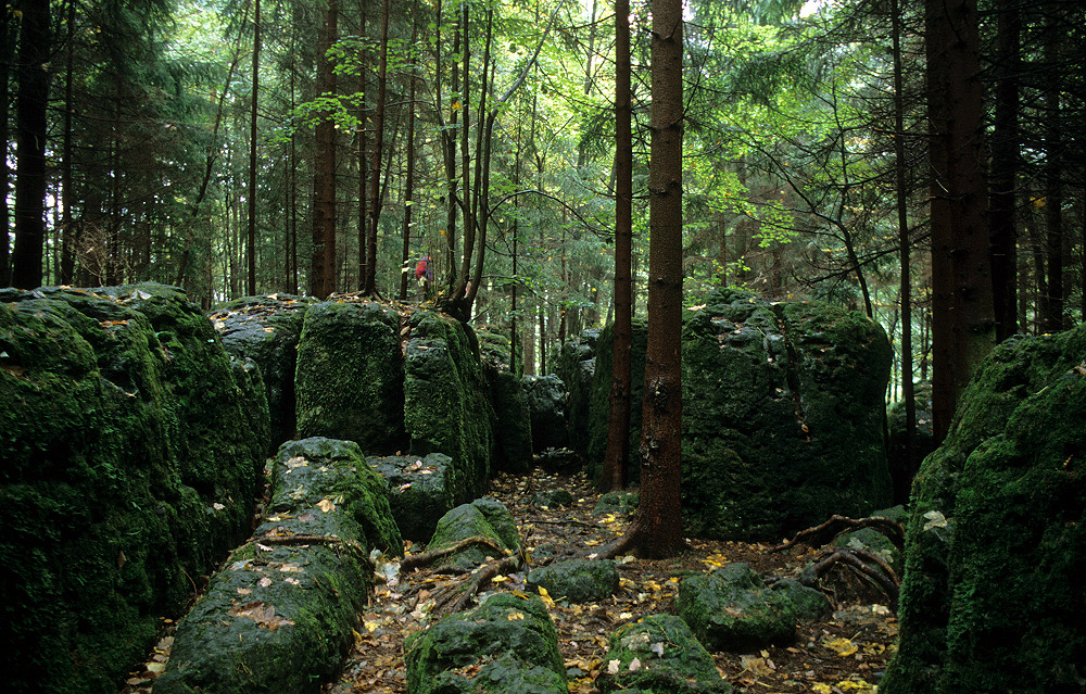 Druidenhain Wohlmannsgesees