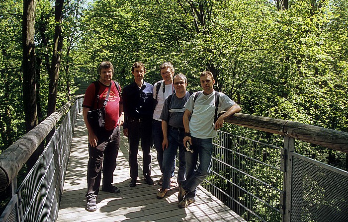 Baumkronenpfad im Nationalpark Hainich