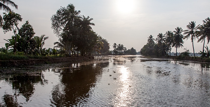 Backwaters, Kerala