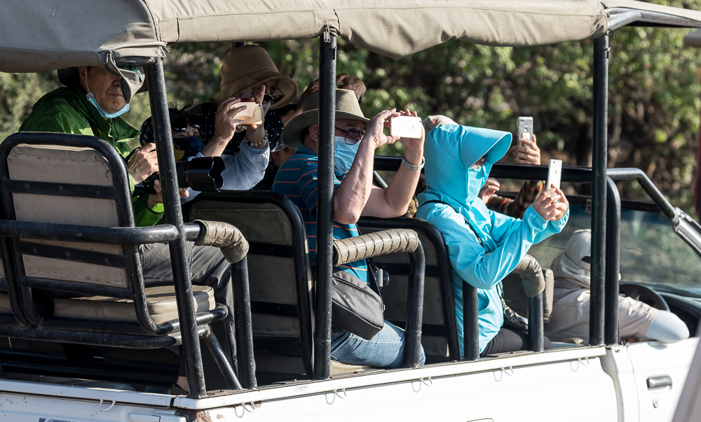 Chobe National Park