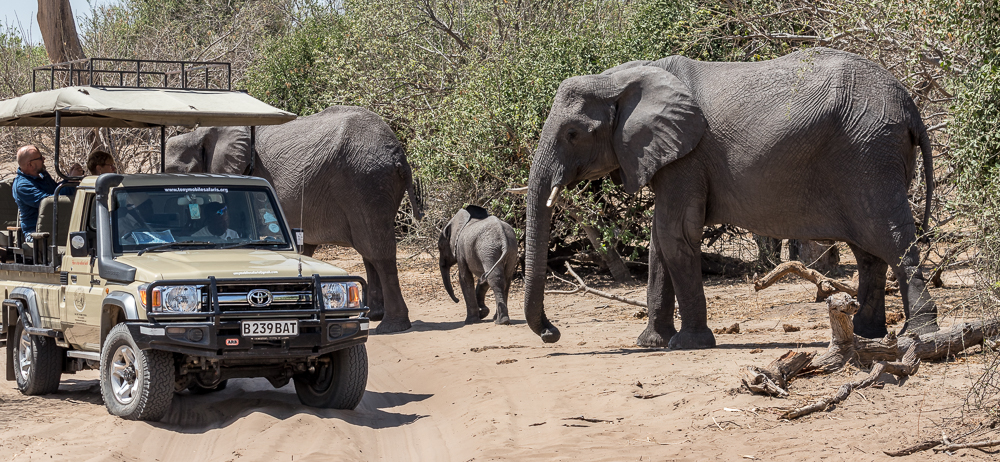 Chobe National Park