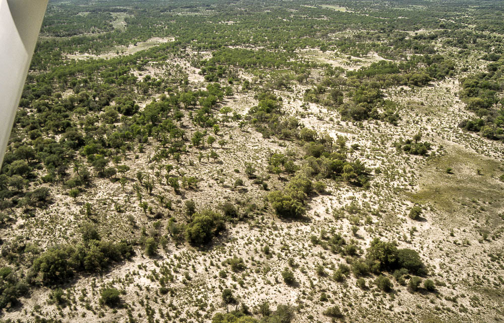 Okavango-Delta