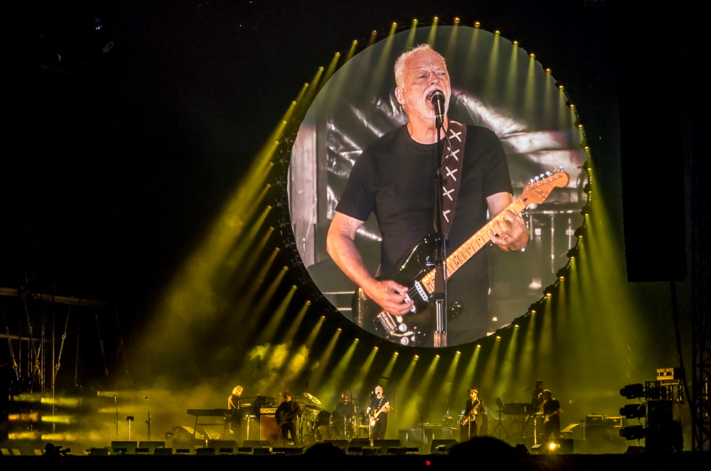 David Gilmour