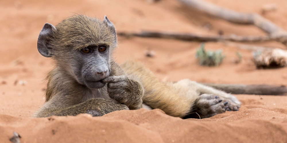 Botswana