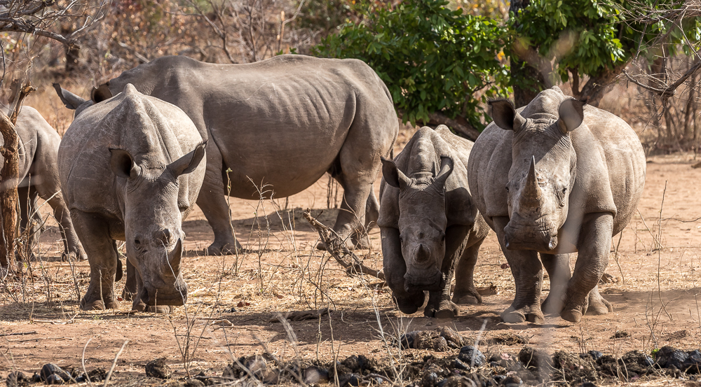 Mosi-oa-Tunya National Park