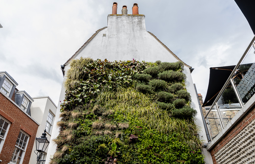 The Lanes: Hanningtons Lane Brighton