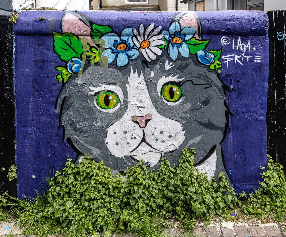 North Laine: Trafalgar Lane Brighton