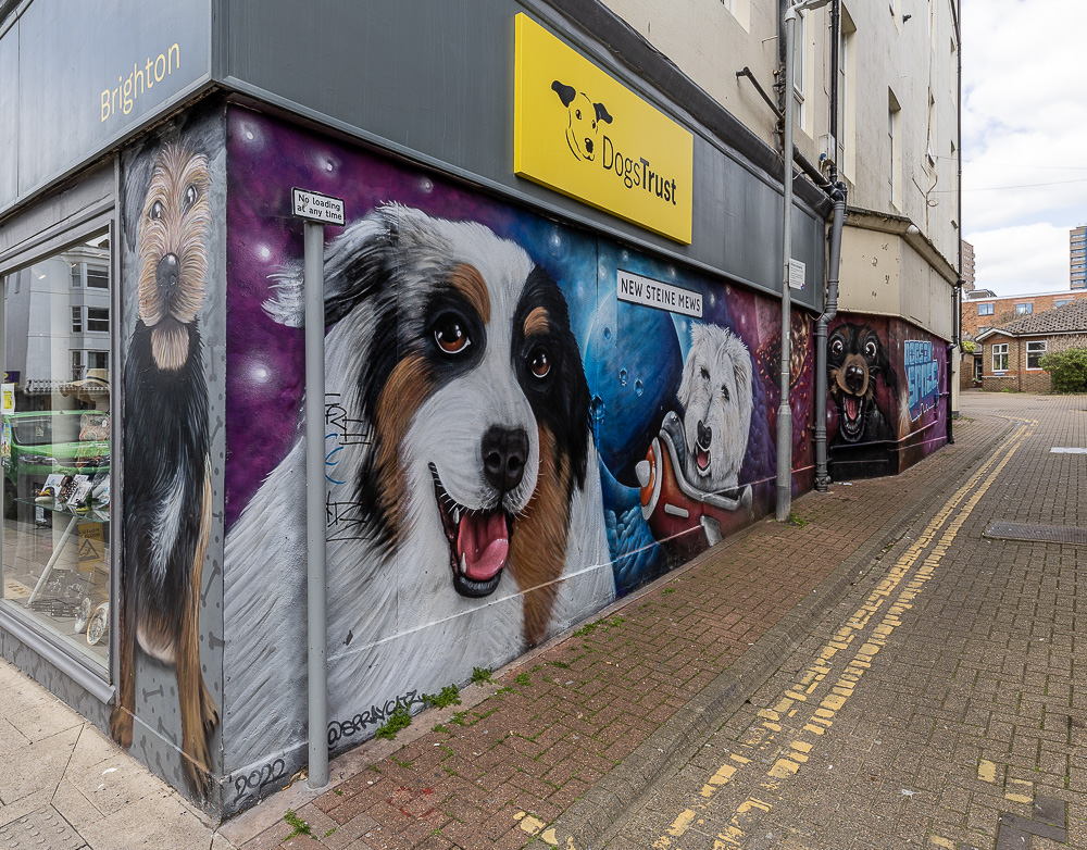 Kemp Town: New Steine Mews Brighton