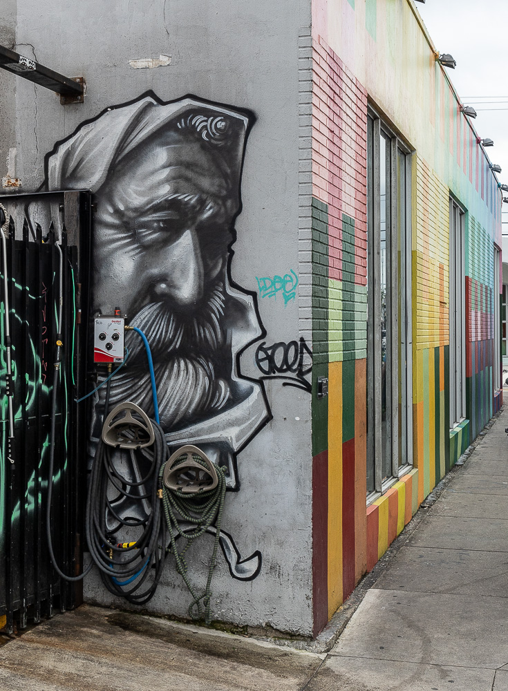 Wynwood Art District: Northwest 3rd Avenue Miami