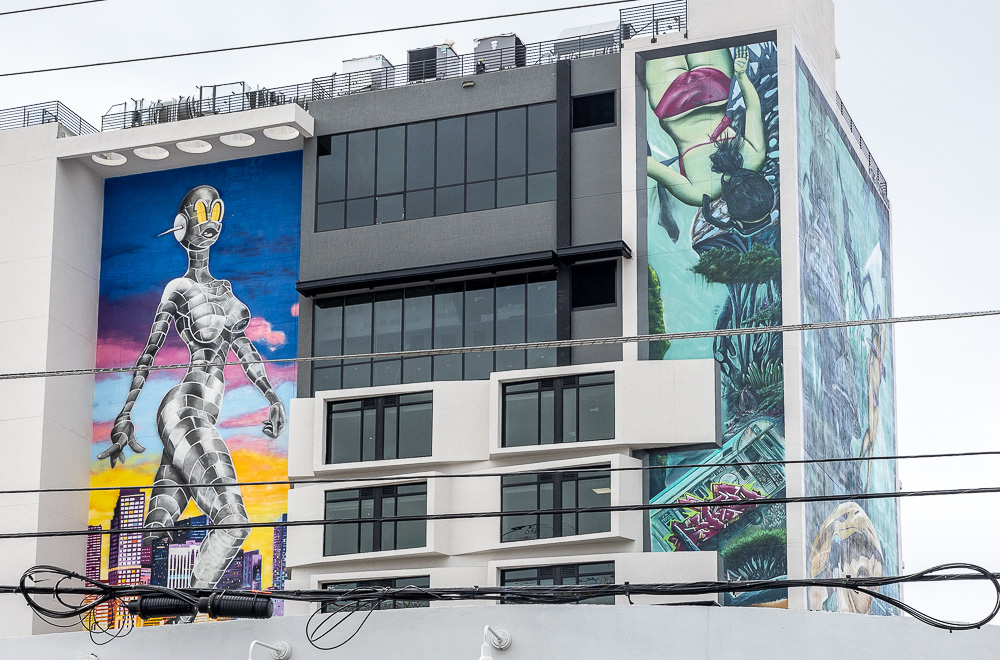 Wynwood Art District: Northwest 3rd Avenue Miami