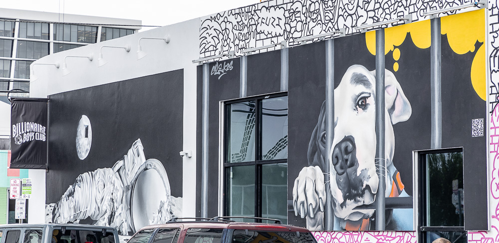 Wynwood Art District: Northwest 3rd Avenue Miami