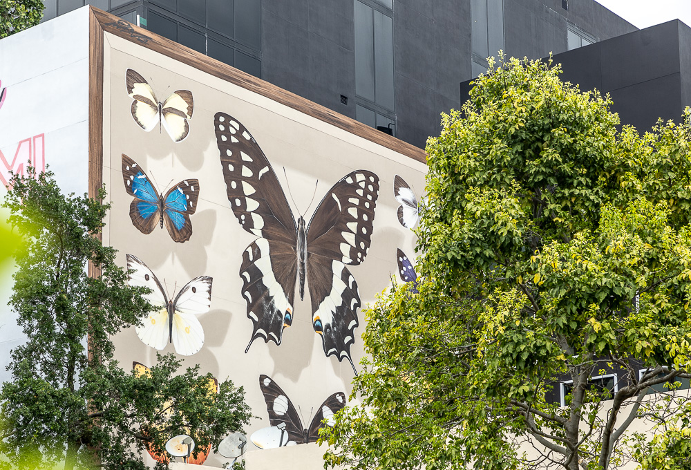 Wynwood Art District: Northwest 27th Street Miami