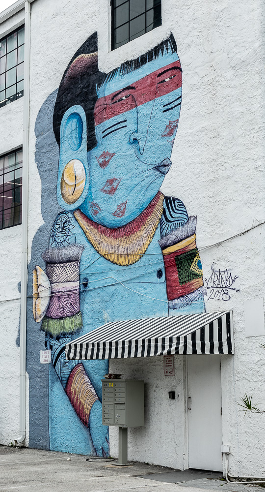Wynwood Art District: Northwest 25th Street Miami