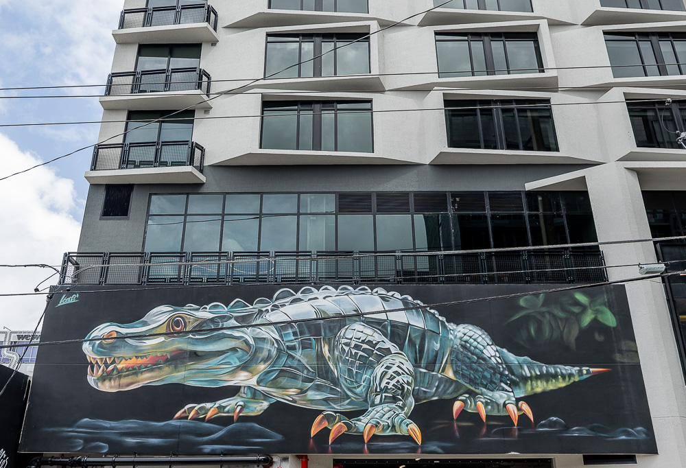 Wynwood Art District: Northwest 25th Street Miami