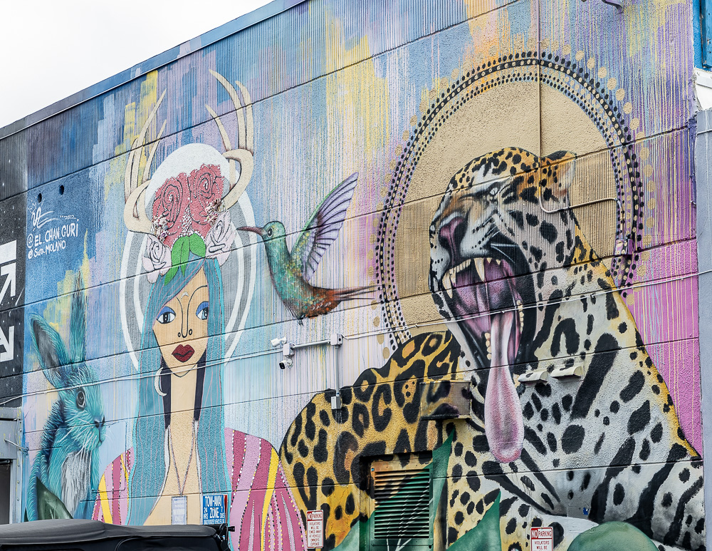 Wynwood Art District: Northwest 25th Street Miami