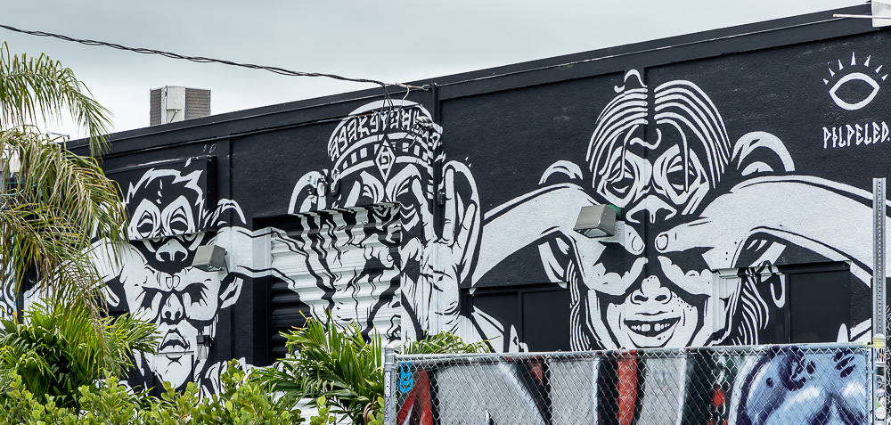 Wynwood Art District: Northwest 24th Street Miami