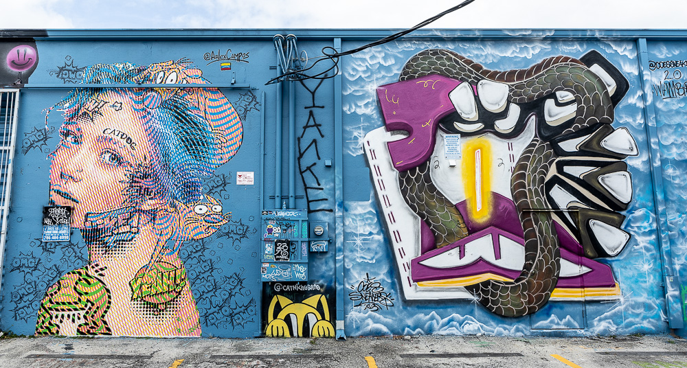 Wynwood Art District: Northwest 24th Street Miami