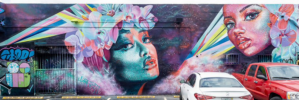 Wynwood Art District: Northwest 24th Street Miami