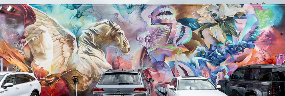 Wynwood Art District: Northwest 24th Street Miami