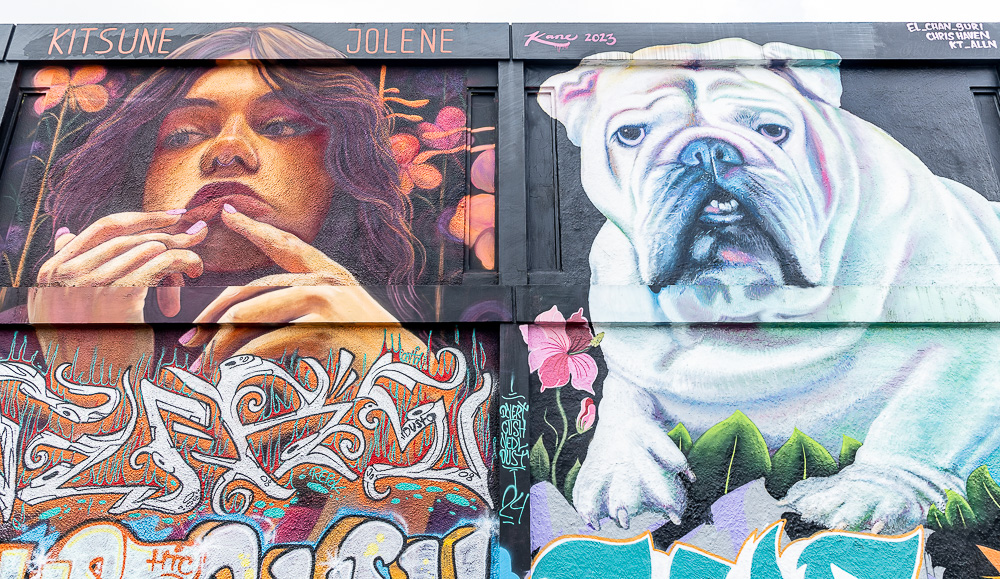 Wynwood Art District: Northwest 24th Street Miami