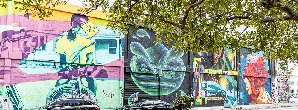 Wynwood Art District: Northwest 5th Avenue Miami