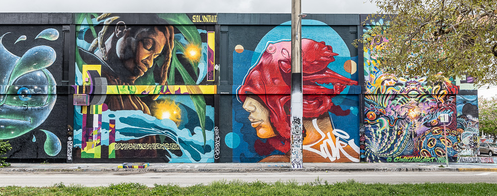 Wynwood Art District: Northwest 5th Avenue Miami