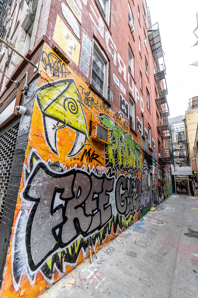 Lower East Side: Freeman Alley New York City