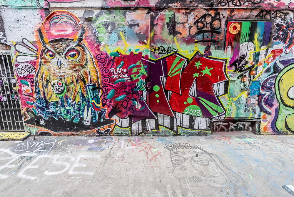 Lower East Side: Freeman Alley New York City