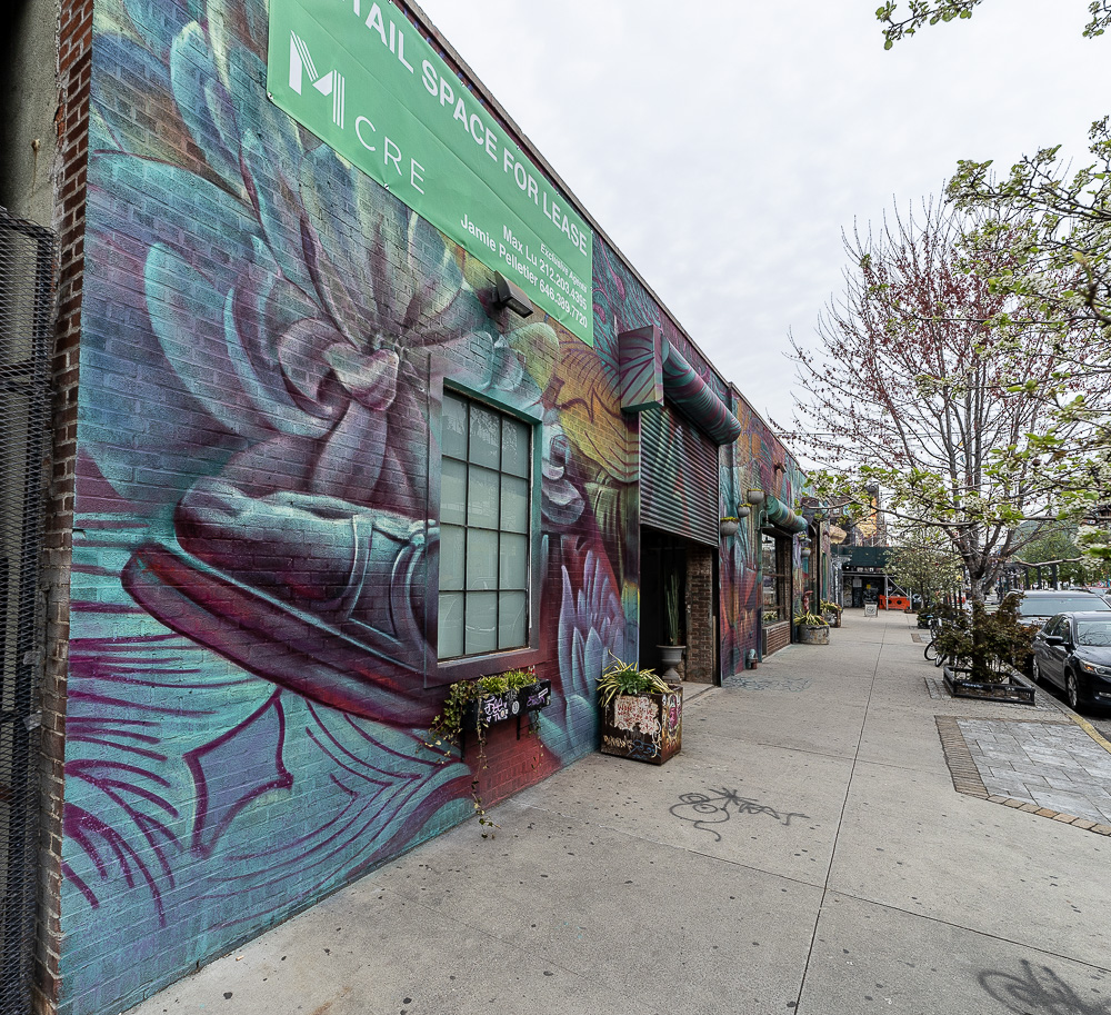 Bushwick: Troutman Street New York City