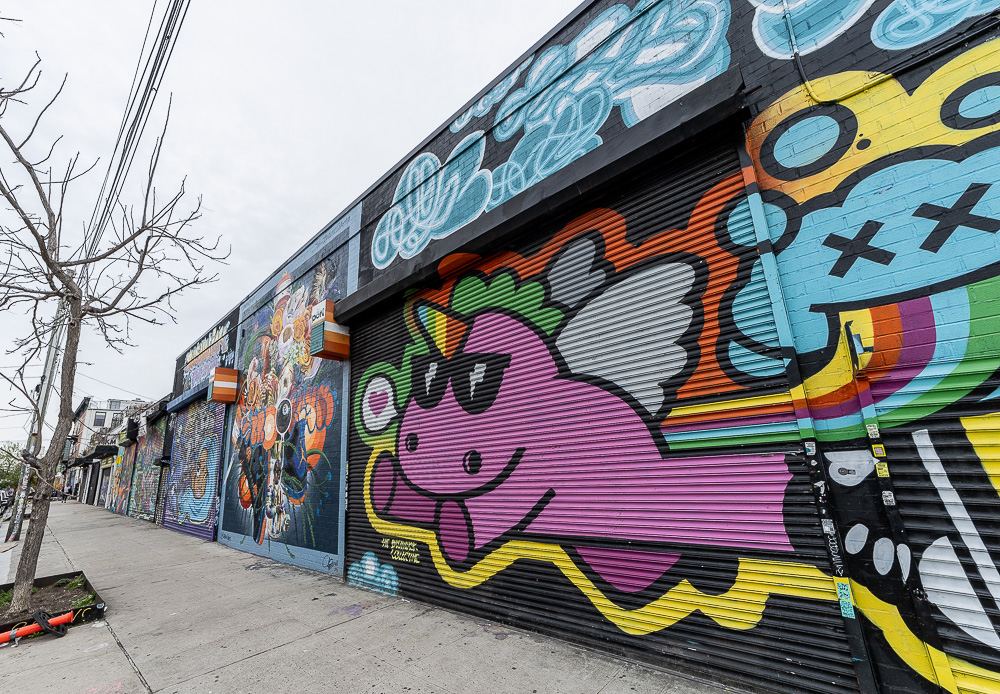 Bushwick: Troutman Street New York City