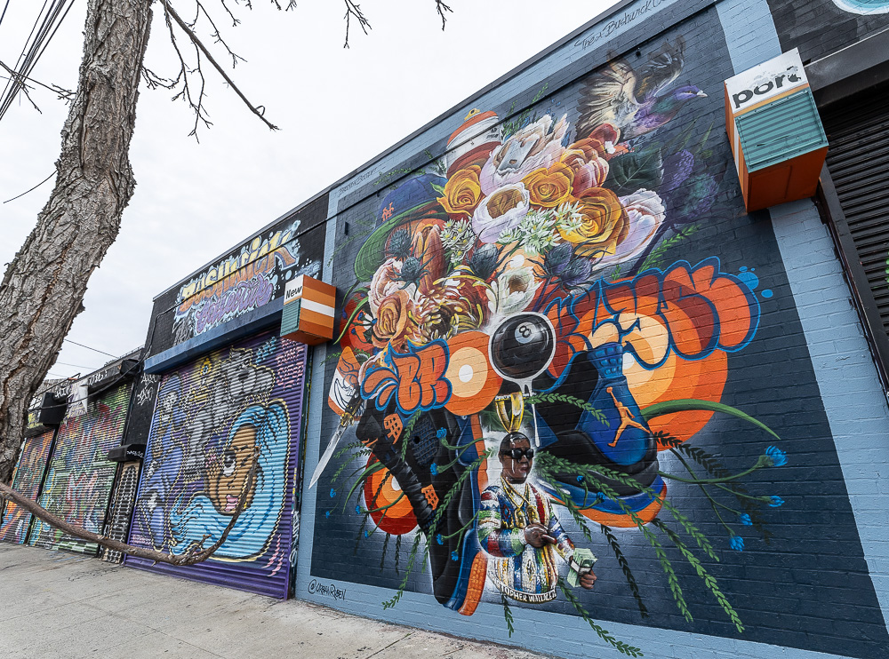 Bushwick: Troutman Street New York City