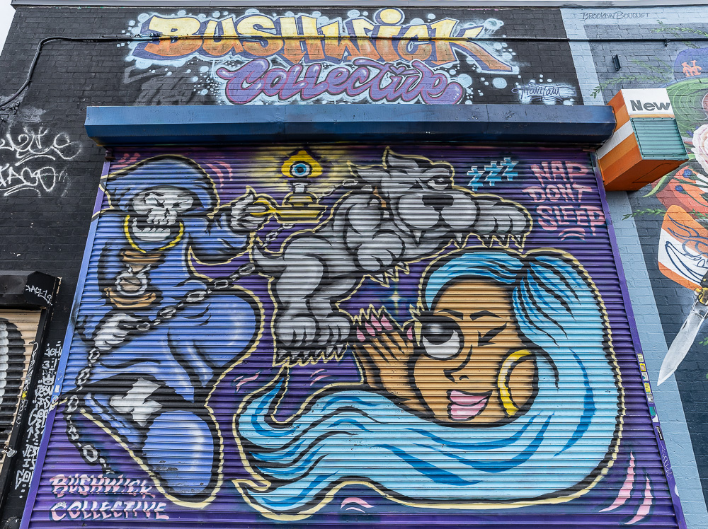 Bushwick: Troutman Street New York City