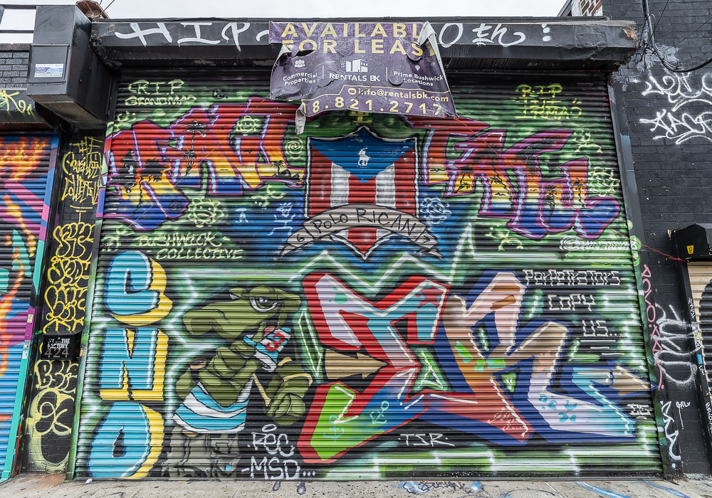 Bushwick: Troutman Street New York City