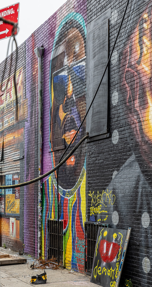 Bushwick: Troutman Street New York City