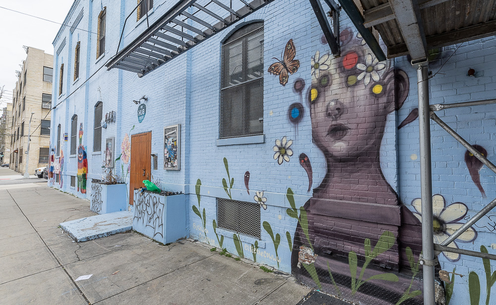 Bushwick: Jefferson Street New York City