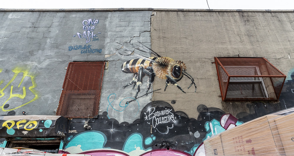 Bushwick: Jefferson Street New York City