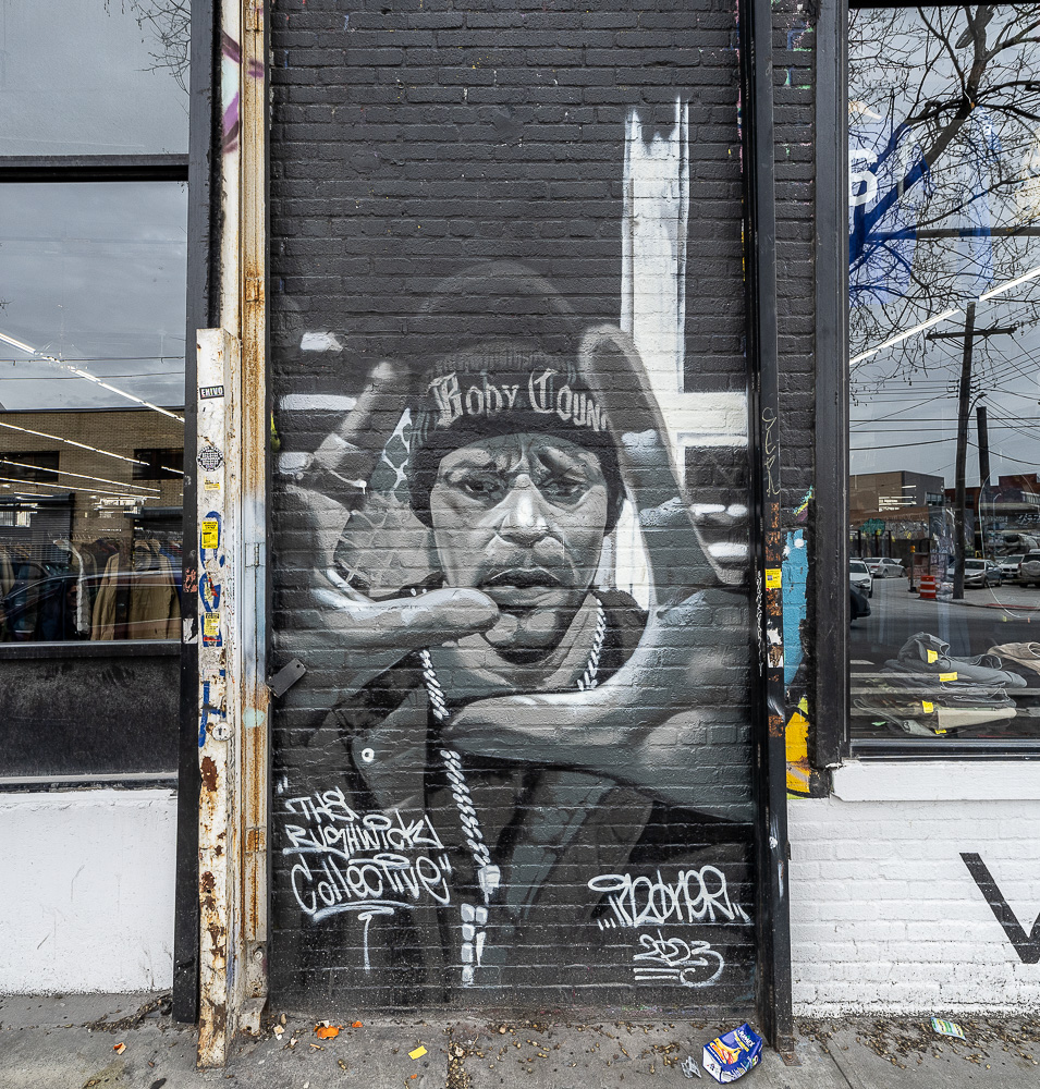 Bushwick: Flushing Avenue New York City