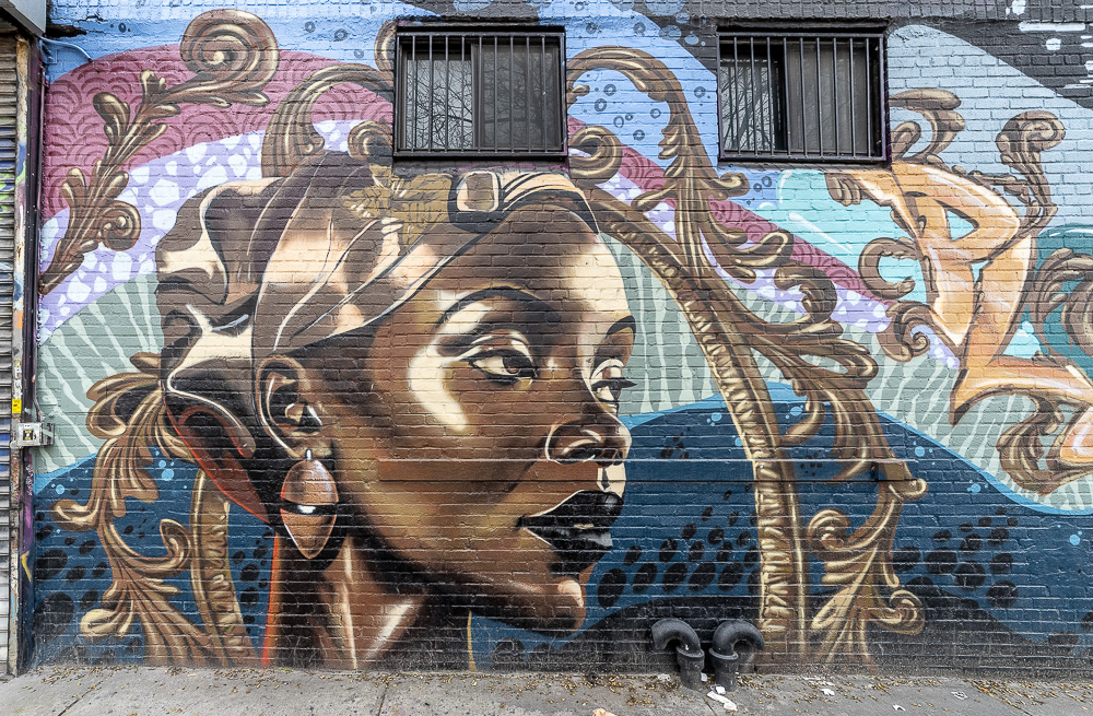 Bushwick: Flushing Avenue New York City