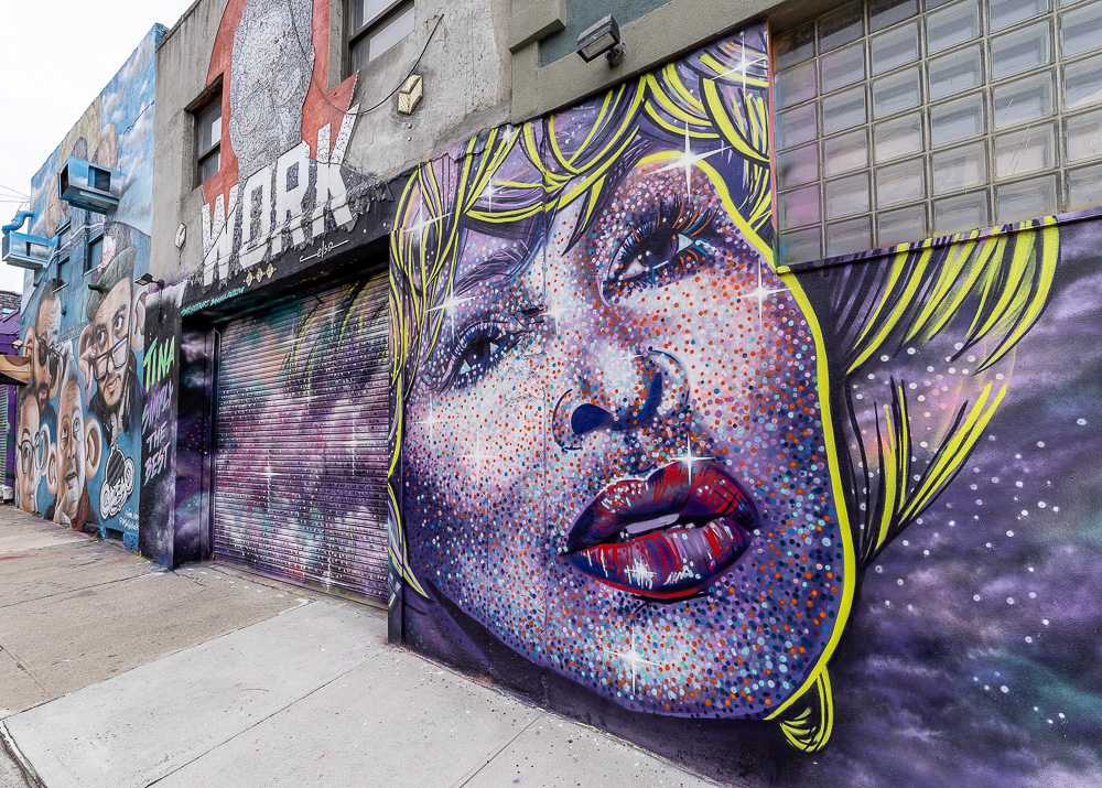 Bushwick: Troutman Street New York City
