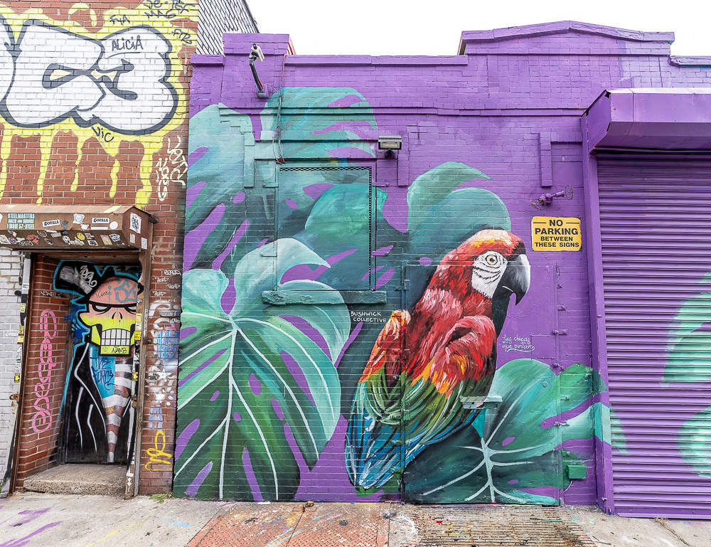 Bushwick: Troutman Street New York City