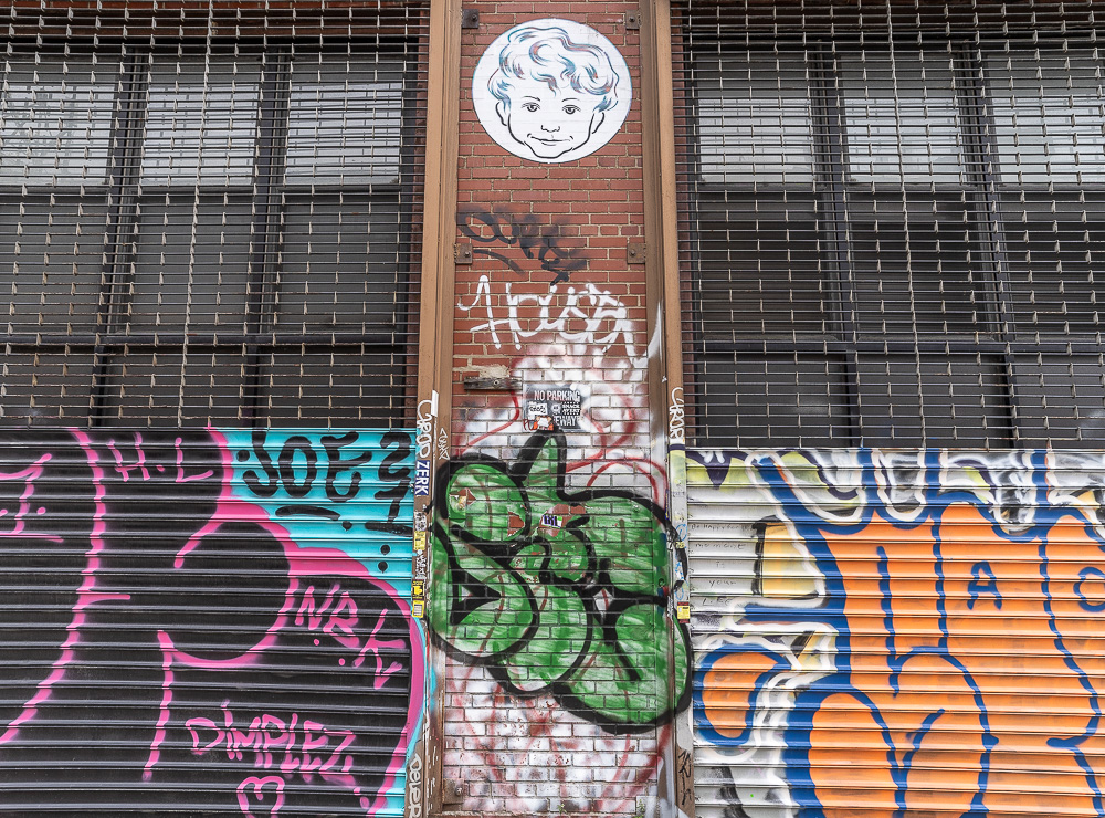 Bushwick: Troutman Street New York City