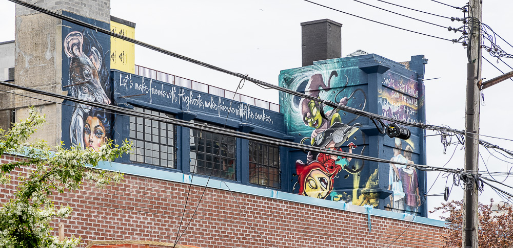 Bushwick: Starr Street New York City