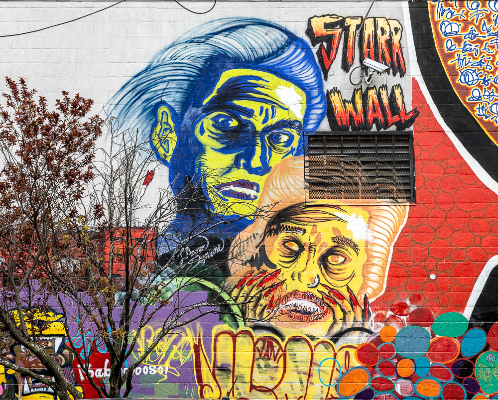 Bushwick: Starr Street New York City