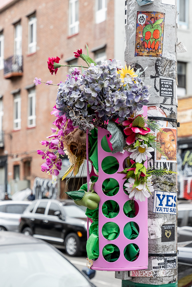 Bushwick: Starr Street New York City