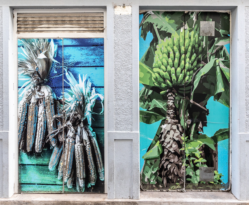 Zona Velha da Cidade: Rua de Santa Maria Funchal